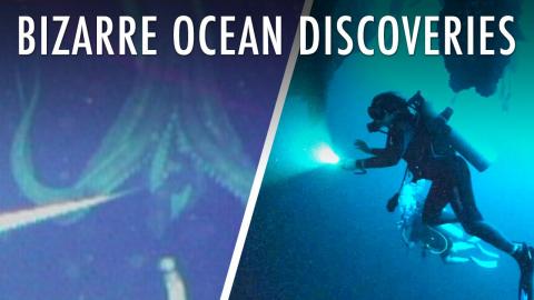 25 Bizarre Discoveries In The Deep Sea | Unveiled XL