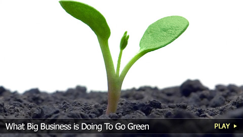 What Big Business is Doing To Go Green