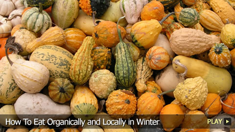 How To Eat Organically and Locally in Winter