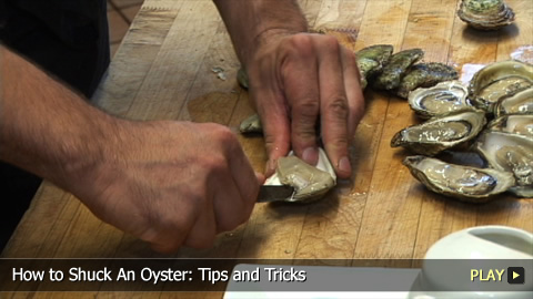 How To Shuck An Oyster: Tips and Tricks