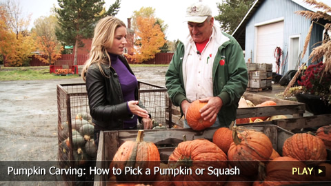 Pumpkin Carving: How to Pick a Pumpkin or Squash