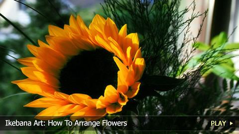 Ikebana Art: How To Arrange Flowers