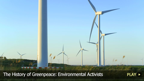 The History of Greenpeace: Environmental Activists