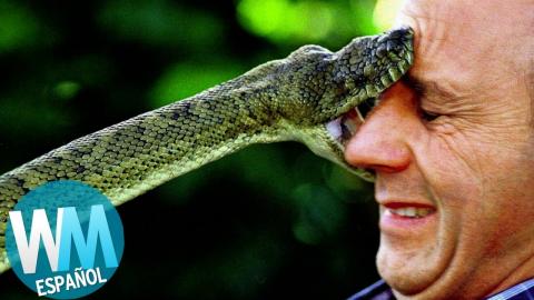 Top 10 Serpientes Más Peligrosas del Mundo