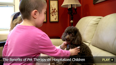 The Benefits of Pet Therapy on Hospitalized Children