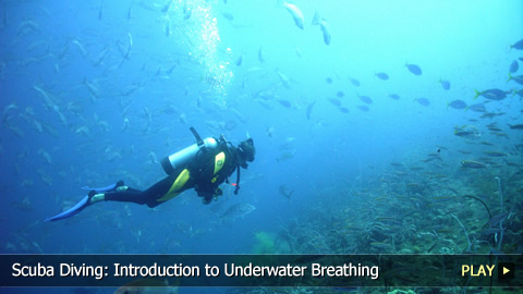 Scuba Diving: Introduction to Underwater Breathing