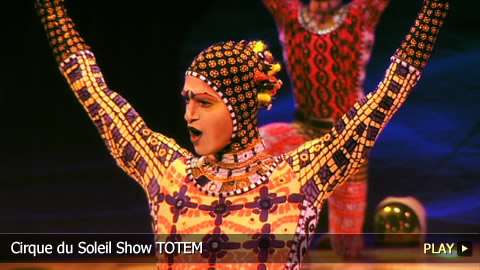 Discover The Cirque du Soleil Show TOTEM