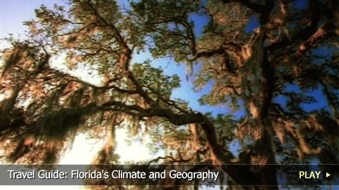 Travel Guide: Florida's Climate and Geography