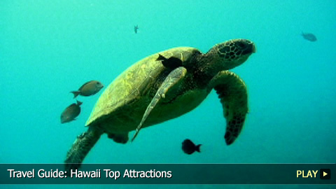 Top Attractions To See in Hawaii