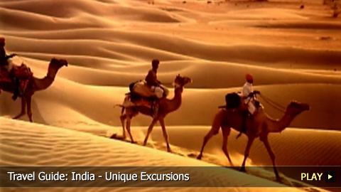 Travel Guide: Unique Activities To Do in India