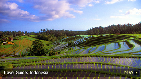 Travel Guide: Indonesia