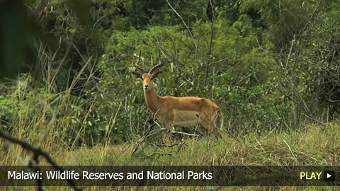 Malawi: Wildlife Reserves and National Parks