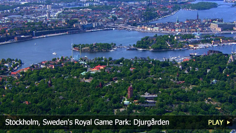 Stockholm, Sweden's Royal Game Park: Djurgården