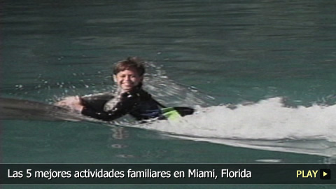 Las 5 mejores actividades familiares en Miami, Florida
