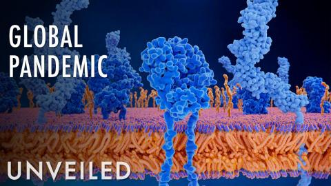 What If We Cured the Common Cold? | Unveiled