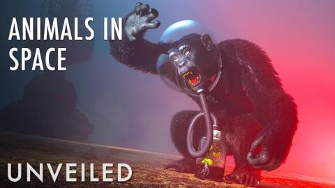 What If We Sent Animals To Alien Planets? | Unveiled