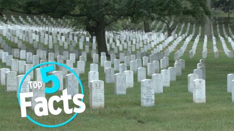 Top 5 Facts About Exotic Funeral Rituals