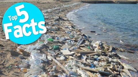 Top 5 Facts about Plastic 
