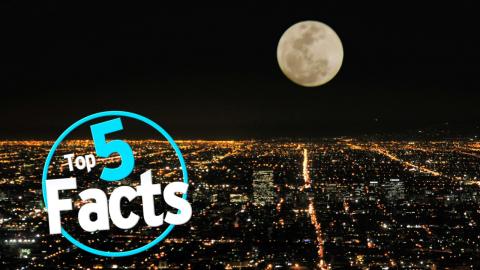 Top 5 Facts about the Moon