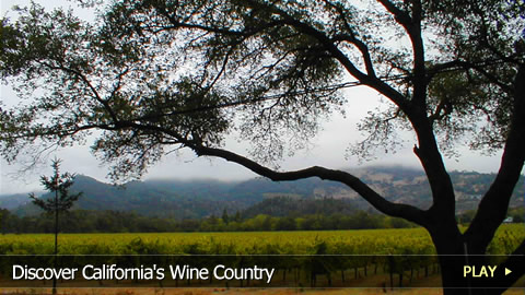 Discover California's Wine Country 
