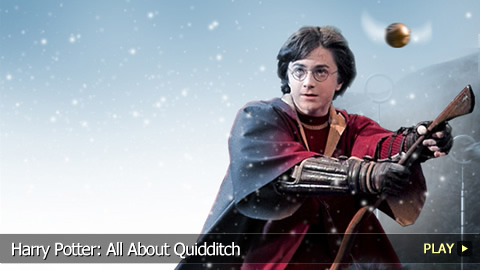 Harry Potter: All About Quidditch