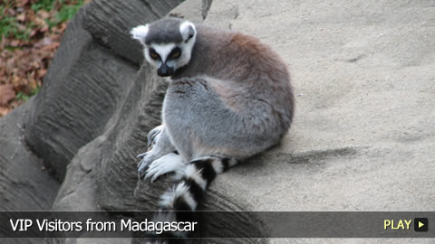 VIP Visitors from Madagascar