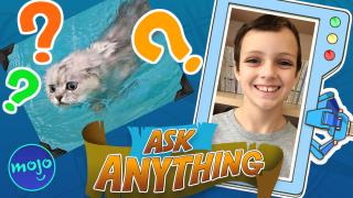 Why Don't Cats Like Getting Wet? - Ask Anything