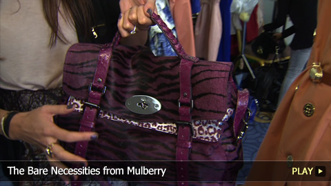 The Queen of Mulberry Accessories - The Alexa Bag