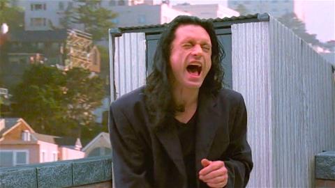 Top 10 Moments from The Room