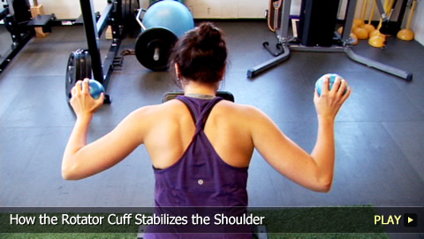 How the Rotator Cuff Stabilizes the Shoulder