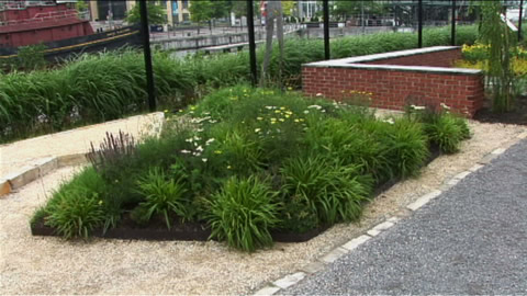 Home and Garden: How to Create Street Gardens