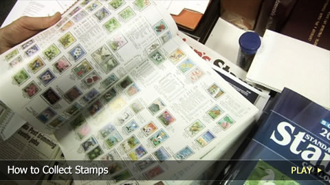How To Collect Stamps