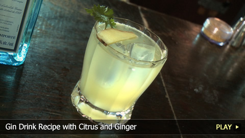 Gin Drink Recipe with Citrus and Ginger