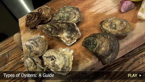 Types of Oysters: A Guide