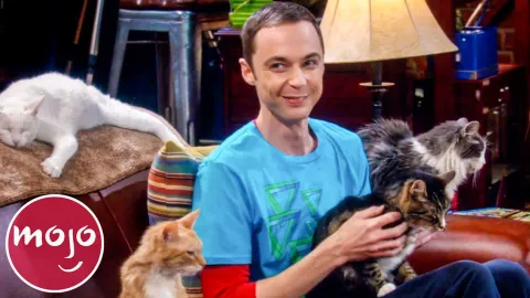 Top 10 Funniest Sheldon Cooper Meltdowns