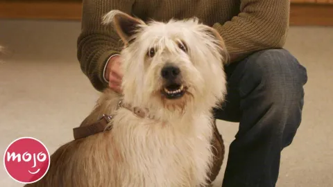 Top 20 Saddest Grey's Anatomy Character Deaths