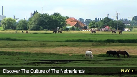 Discover The Culture of The Netherlands