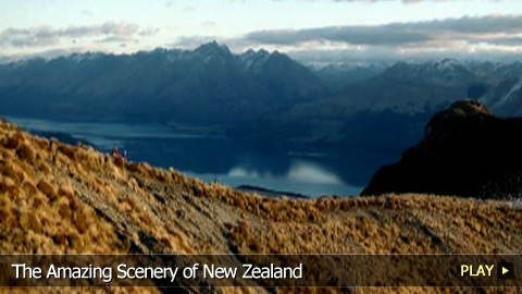 Discover The Amazing Scenery of New Zealand