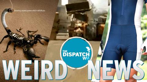 High on Scorpions, Bulldozer Battles & Spandex Bulge: The Dispatch #24