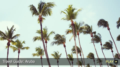 Travel Guide: Aruba