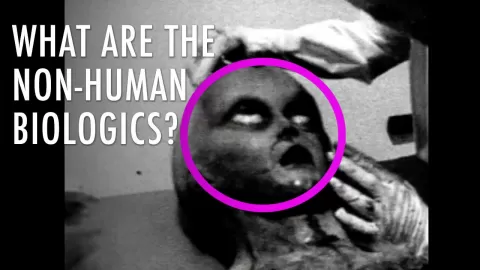 Is the Government Hiding Dead Extraterrestrials? | Unveiled