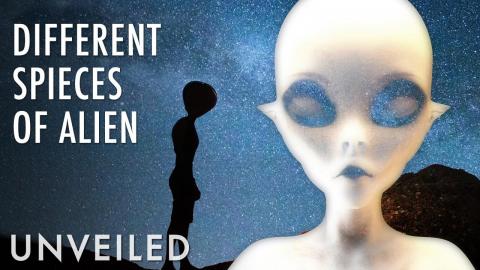 The Different Types Of Alien You Should Know About | Unveiled