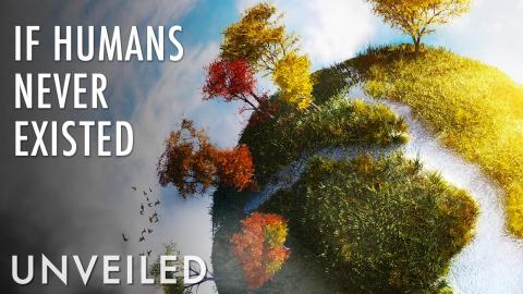 What If Earth Never Had Humans? | Unveiled