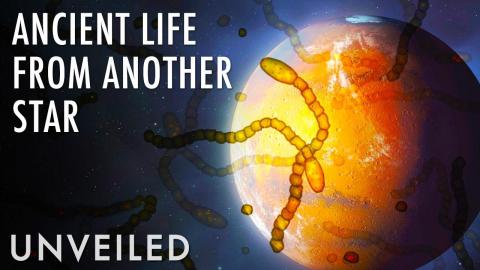 What If Life Came From Another Star System? | Unveiled