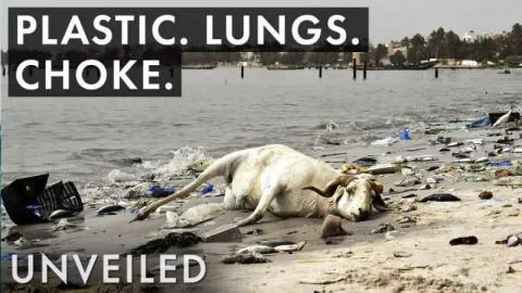 What Happens When Plastic Pollution Gets Worse?