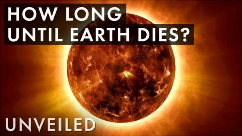 What If the Earth Travelled Into The Sun?