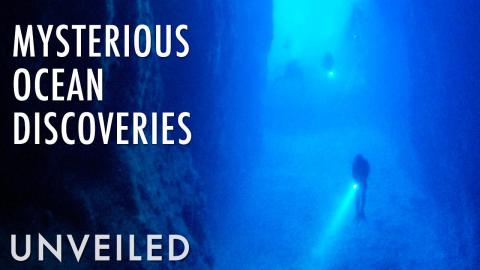 4 Most Bizarre Discoveries in the Deep Sea | Unveiled