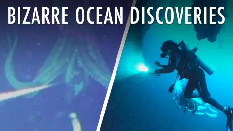 25 Bizarre Discoveries In The Deep Sea | Unveiled XL