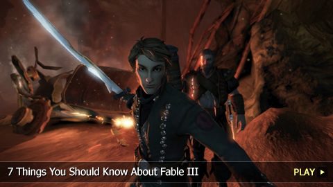 7 Things You Should Know About Fable III