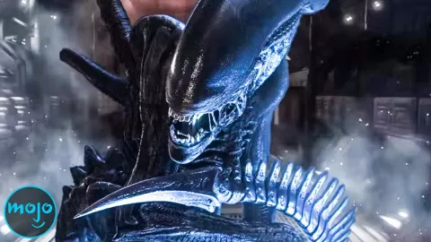 The Anatomy of Xenomorphs EXPLAINED